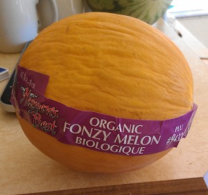 fonzy melon